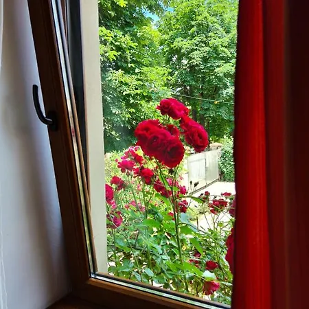 Gasthof Pensiunea Buon Gusto Sibiu-motorcyle Friendly,city Center 3*