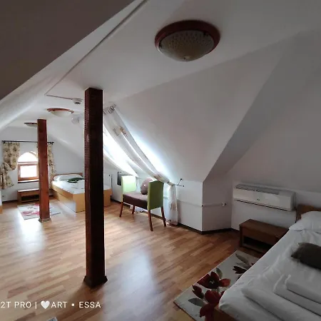 Pensiunea Buon Gusto Sibiu-motorcyle Friendly,city Center Gasthof 3*