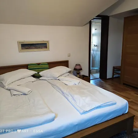 Gasthof Pensiunea Buon Gusto Sibiu-motorcyle Friendly,city Center