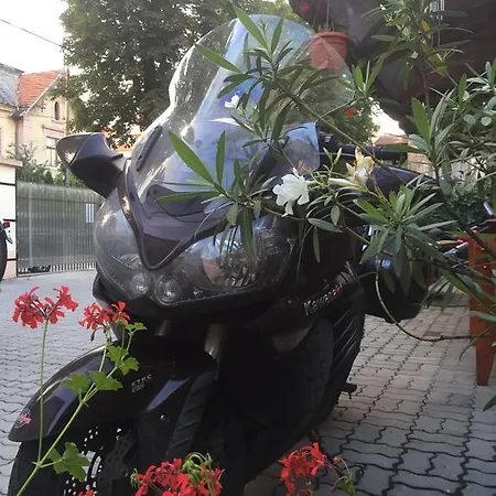 Pensiunea Buon Gusto Sibiu-motorcyle Friendly,city Center 3*