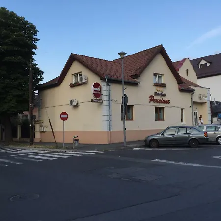 Pensiunea Buon Gusto Sibiu-motorcyle Friendly,city Center 3*